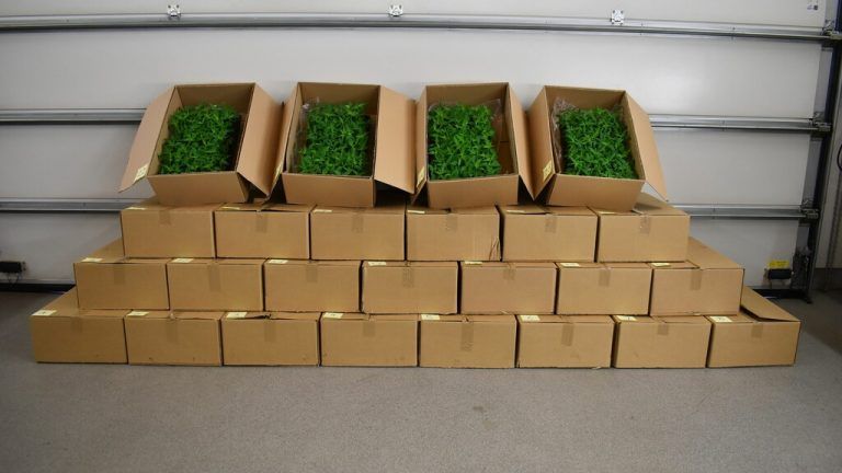 an der schweizer grenze