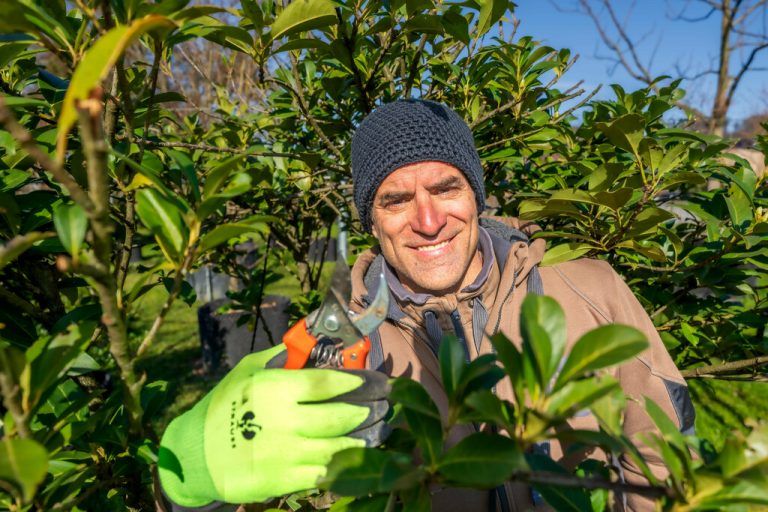 Amilcar Tioni bei der täglichen Arbeit. Mit Feingefühl kümmert er sich um die Bäume.⇒STIPLOVSEK