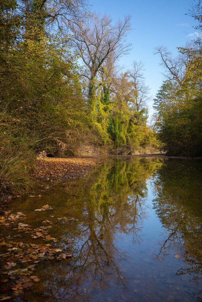 An Flüssen wie der Dornbirner Ach ist Beschattung ein Thema. ⇒hartinger