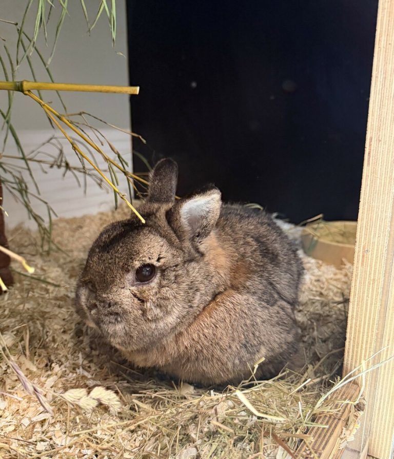 Auf der Suche nach einem Partner.