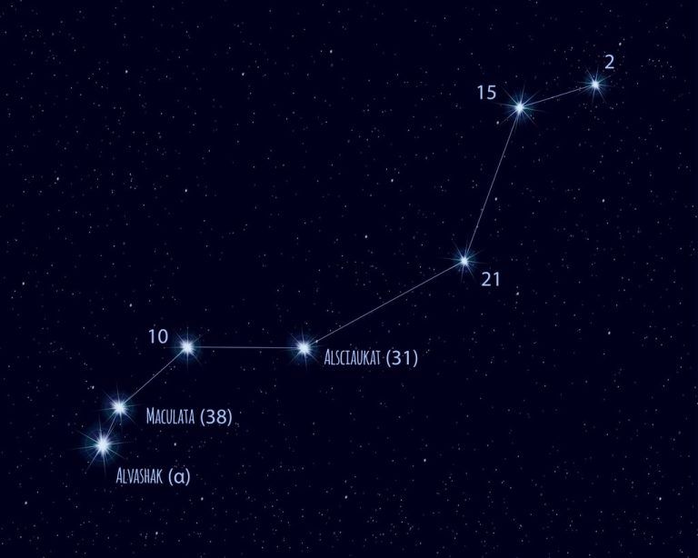 Das Sternbild Luchs liegt zwischen dem Großen Bär und Fuhrmann. ⇒Shutterstock