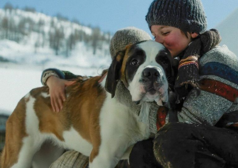 Der berühmteste aller Bernhardiner. ⇒pandafilm
