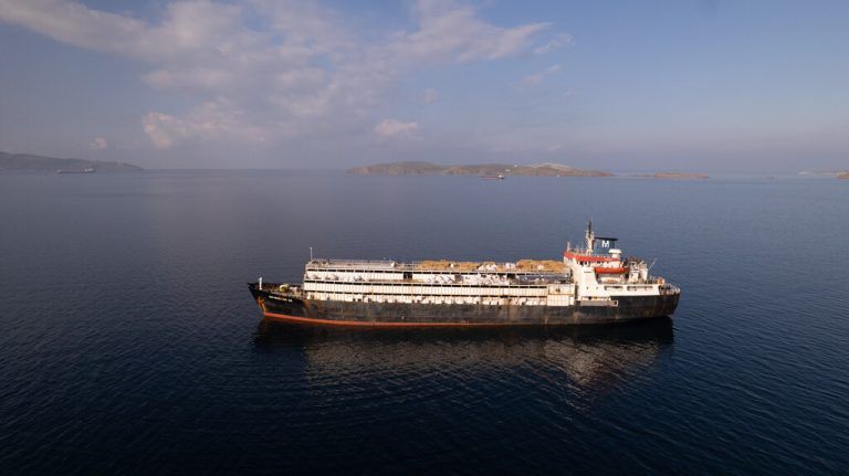 Der umstrittene Transport der „Spiridon II“ mit rund 3000 Rindern entwickelte sich zum internationalen Skandal. ⇒APA (2), Hartinger (2)