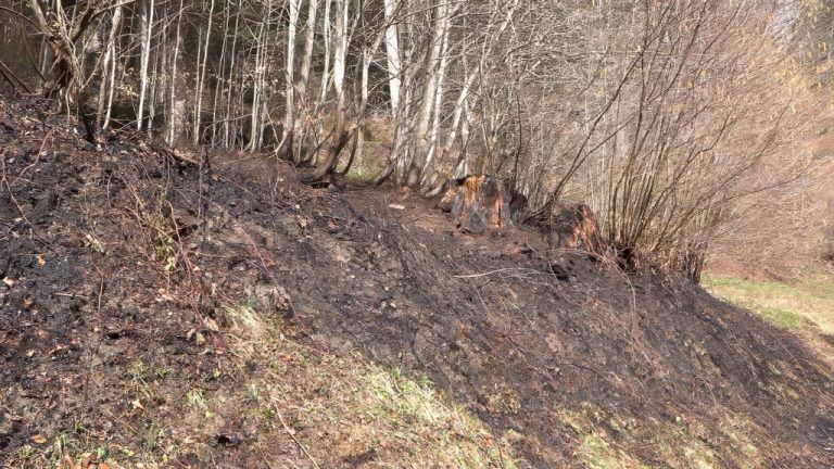 Waldbrand rasch gelöscht