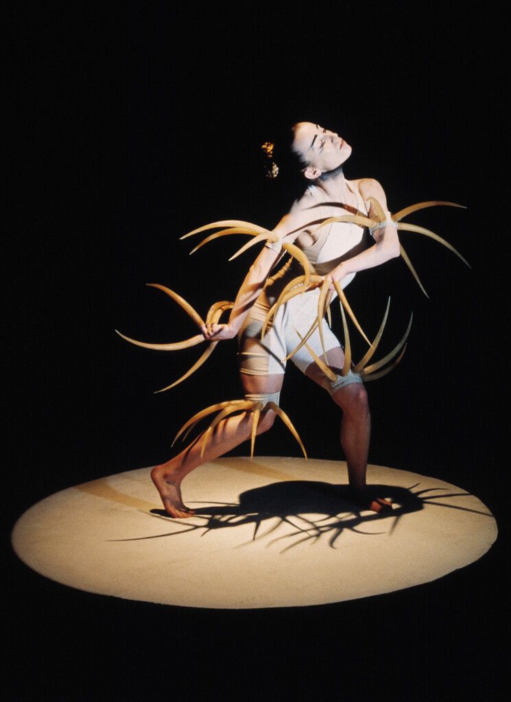 Kraftvoller Auftakt: Nach oben strebend, von der Erde getragen