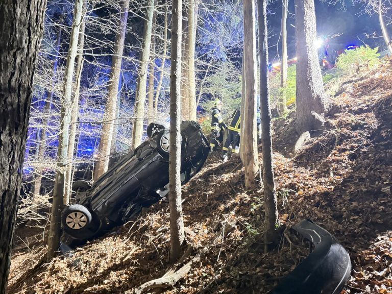 Pkw stürzte in Wald
