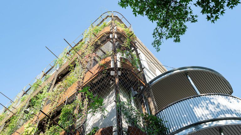 Staatspreis für ak vorarlberg