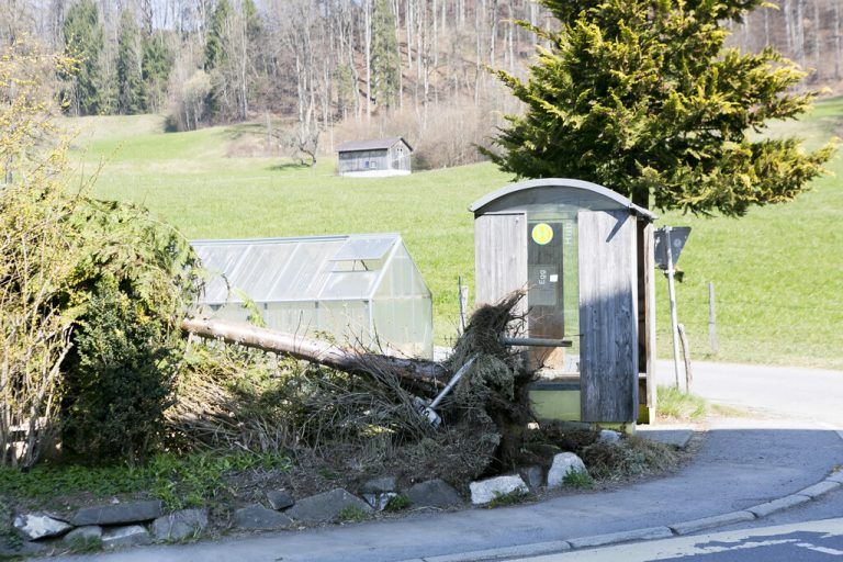 Totalschaden nach Sekundenschlaf
