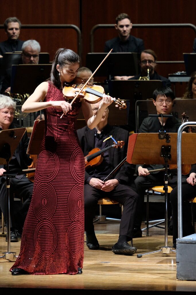 Ausnahmetalent Elisso Gogibedaschwili.⇒BIRD-MUSIC