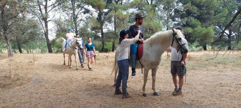 Bei der Hippotherapie arbeitet Lukas gezielt an Gleichgewicht, Haltung und Koordination. Die Bewegungen des Pferdes helfen ihm, seine Muskulatur zu stärken und mehr Sicherheit im Alltag zu gewinnen. ⇒privat (5)