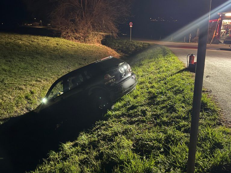 Der Pkw landete im Graben.⇒⇒vlach