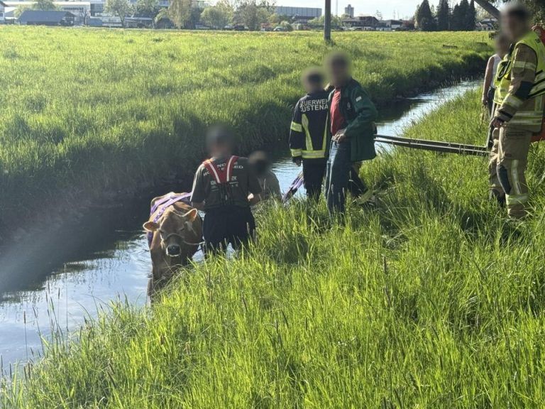 „Malea“ aus Kanal befreit