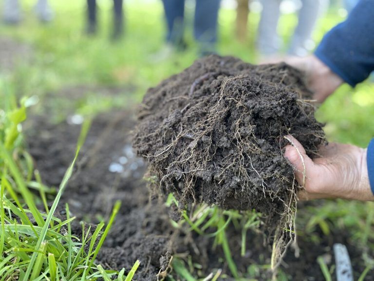 Gesunde Böden sind Grundlage für Klima, Natur und Landwirtschaft.⇒verein bodenfreiheit (2)