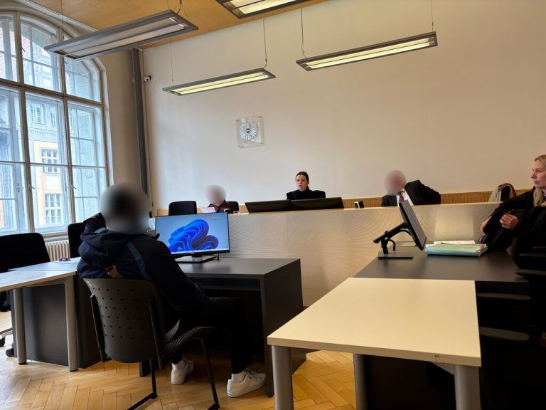 Der Angeklagte vor Richterin Franziska Klammer. ⇒Frick