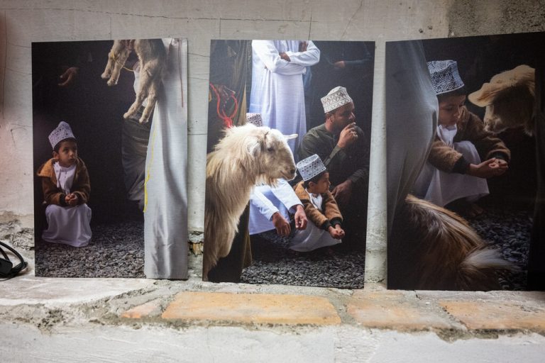 Der Ziegenmarkt ist nicht nur in Andelsbuch beliebt, sondern, wie diese Bilder zeigen, auch im Oman. ⇒
