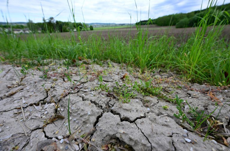 Klimastatusbericht: Sorgen um Grundwasser