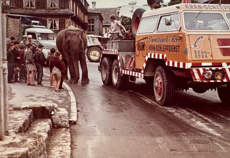 Der Elefant im Zentrum von Schwarzenberg erregte bei Jung und Alt Aufmerksamkeit. ⇒riezler