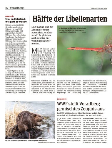 Ausgabe 1781628861, Seite 16