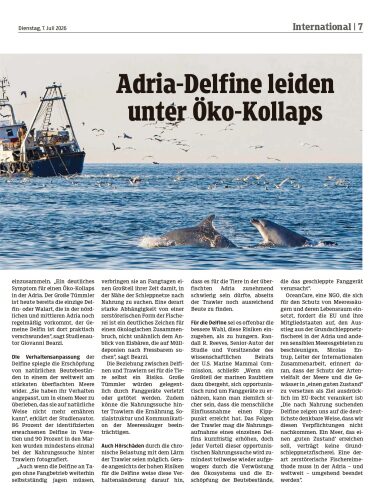 Ausgabe 1783443634, Seite 7