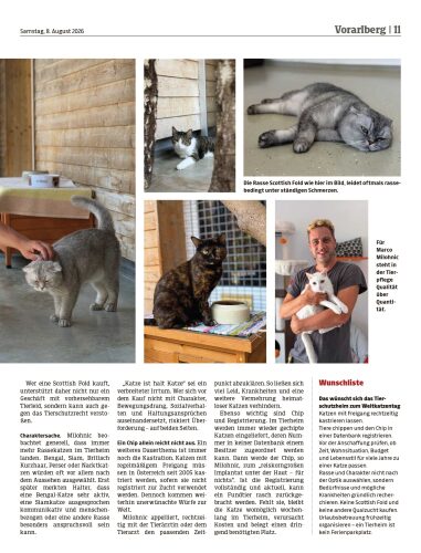 Ausgabe 1786162376, Seite 11