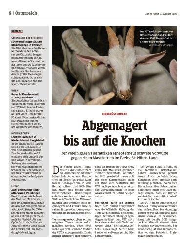 Ausgabe 1787805771, Seite 8