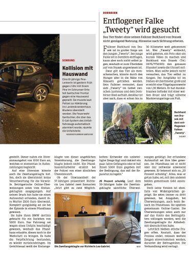 Ausgabe 1788065862, Seite 13