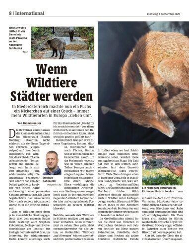 Ausgabe 1788238297, Seite 8