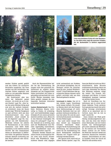 Ausgabe 1788687439, Seite 29